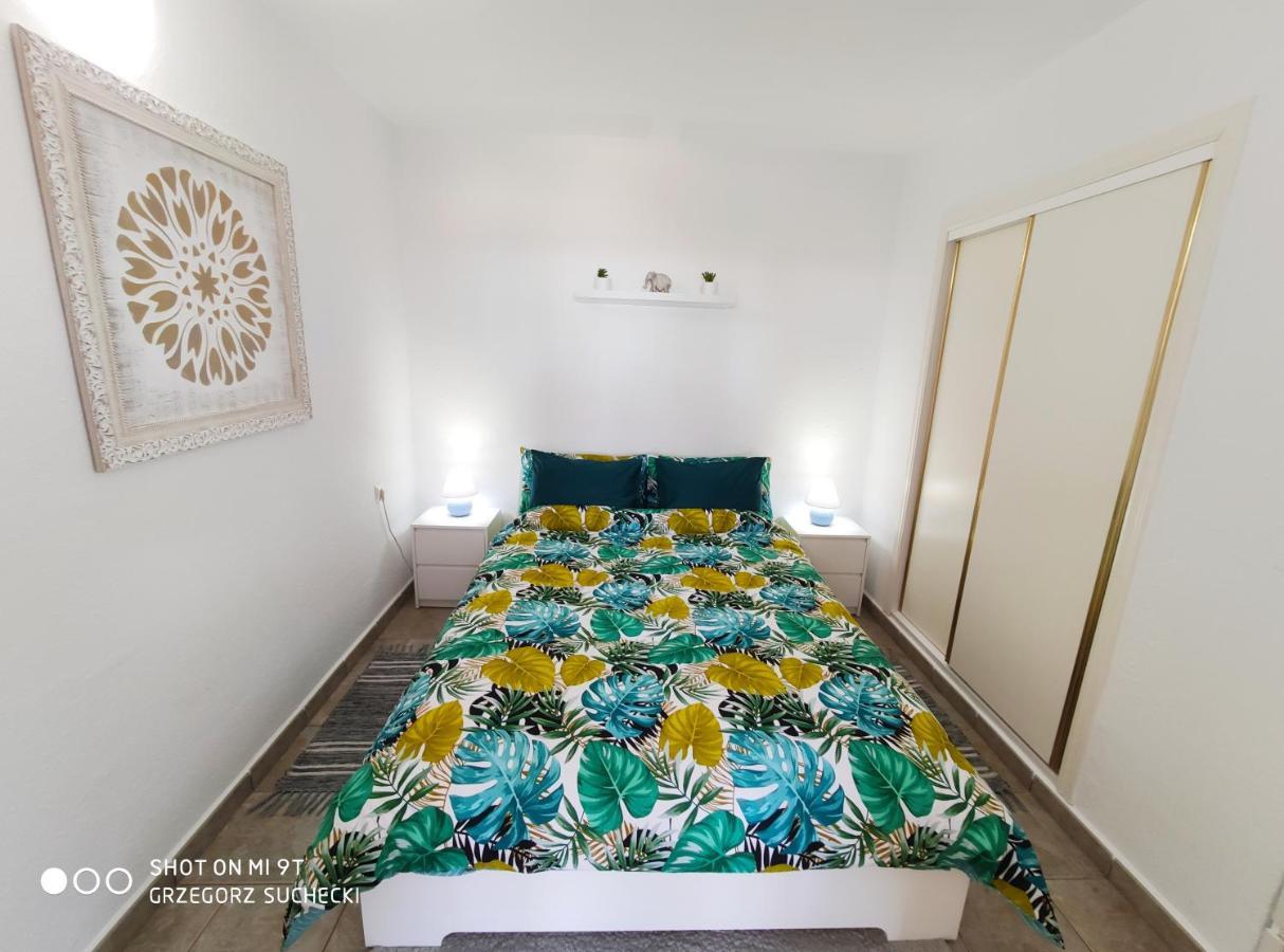 Los Europeos Apartment La Mata  Bagian luar foto
